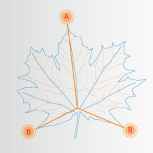 Illustration Imagemotiv